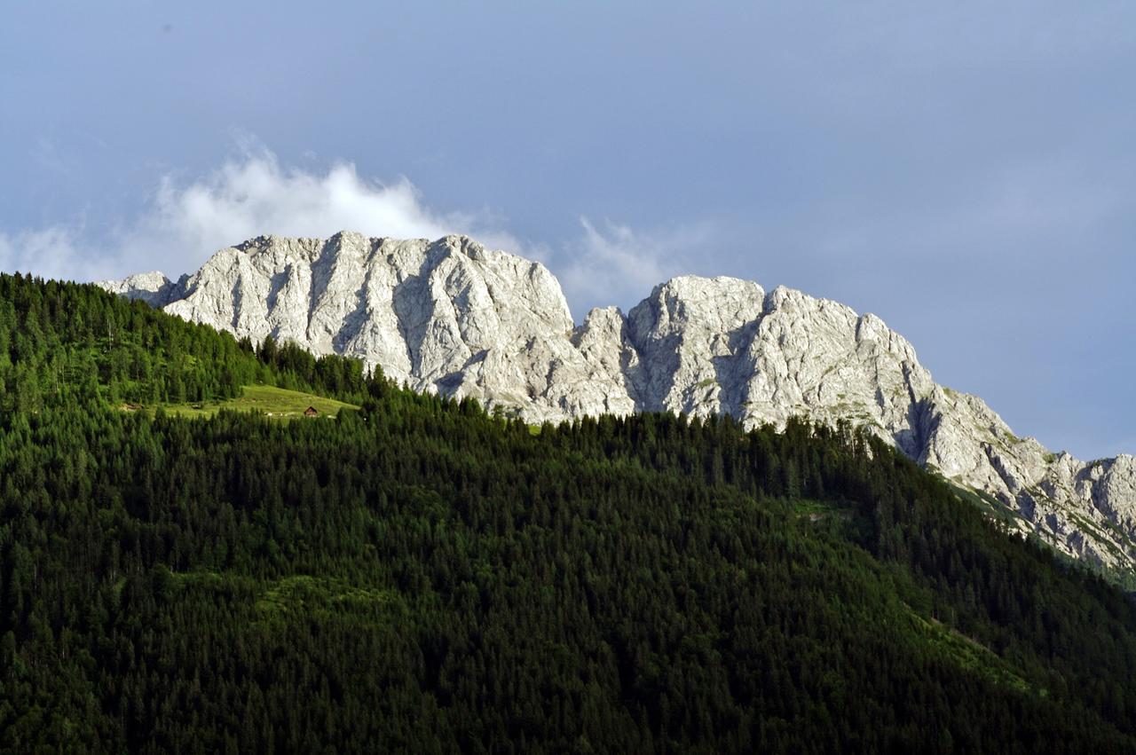 Waldpension Putz Berg im Drautal Buitenkant foto